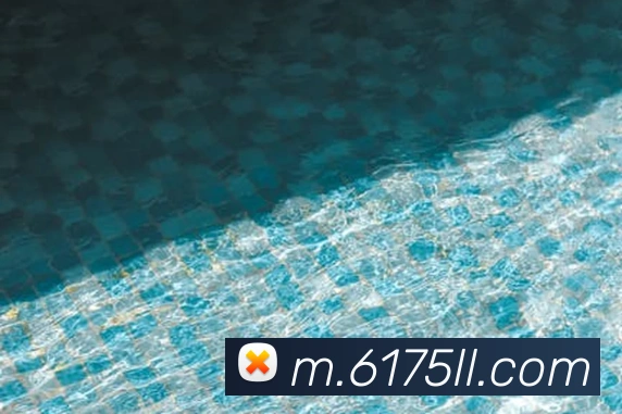 数据防护可视化